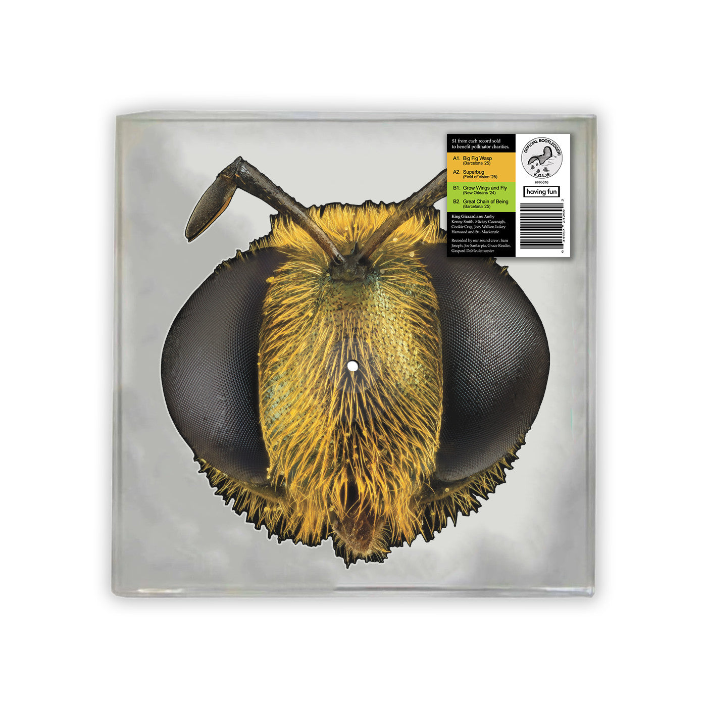 King Gizzard & The Lizard Wizard - Big Fig Wasp