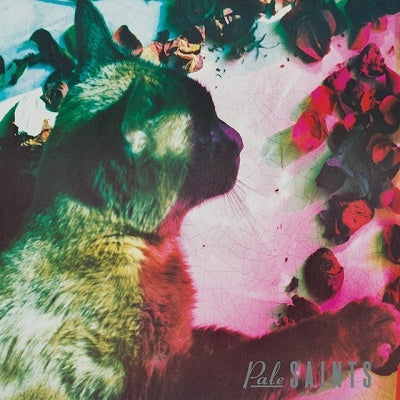 Pale Saints - The Comforts Of Madness | 30th Anniversary