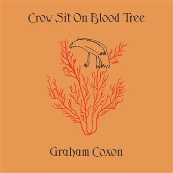 Graham Coxon - Crow Sit On Blood Tree