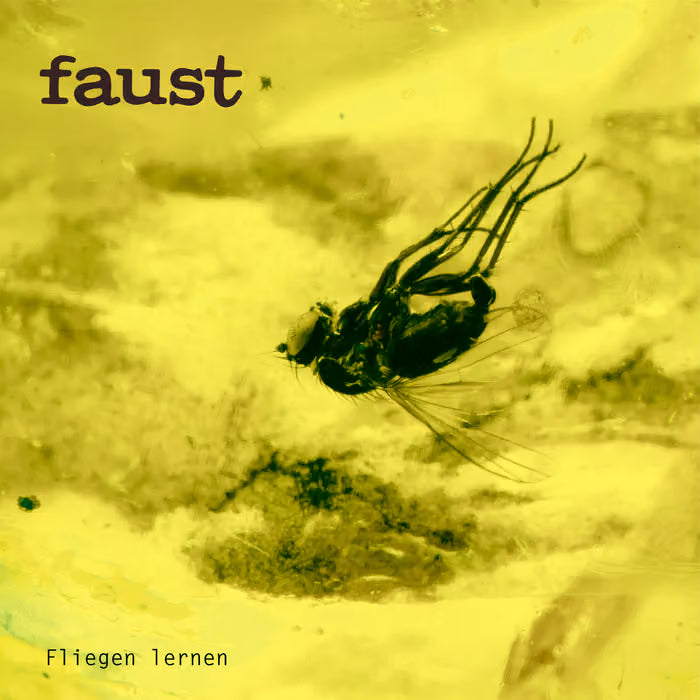 Faust - Fliegen Lernen (curated by Gunther WŸsthoff)