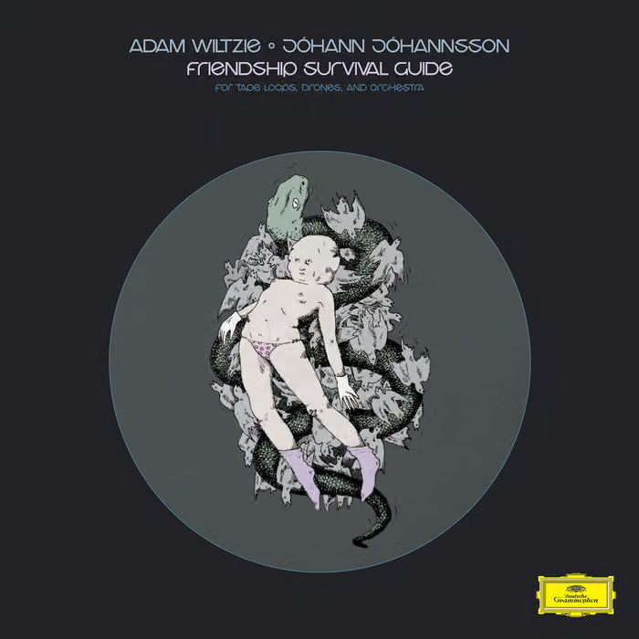 Adam Wiltzie & Jóhann Jóhannsson - Friendship Survival Guide