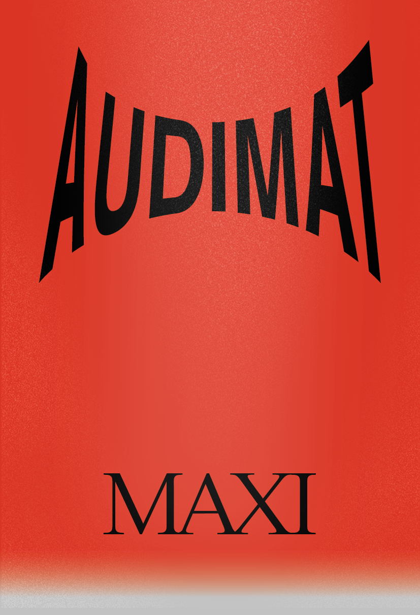 Collectif – Best-of Audimat Maxi