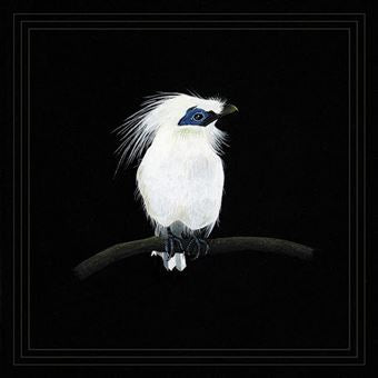 Blundetto - Cousin Zaka Vol 3