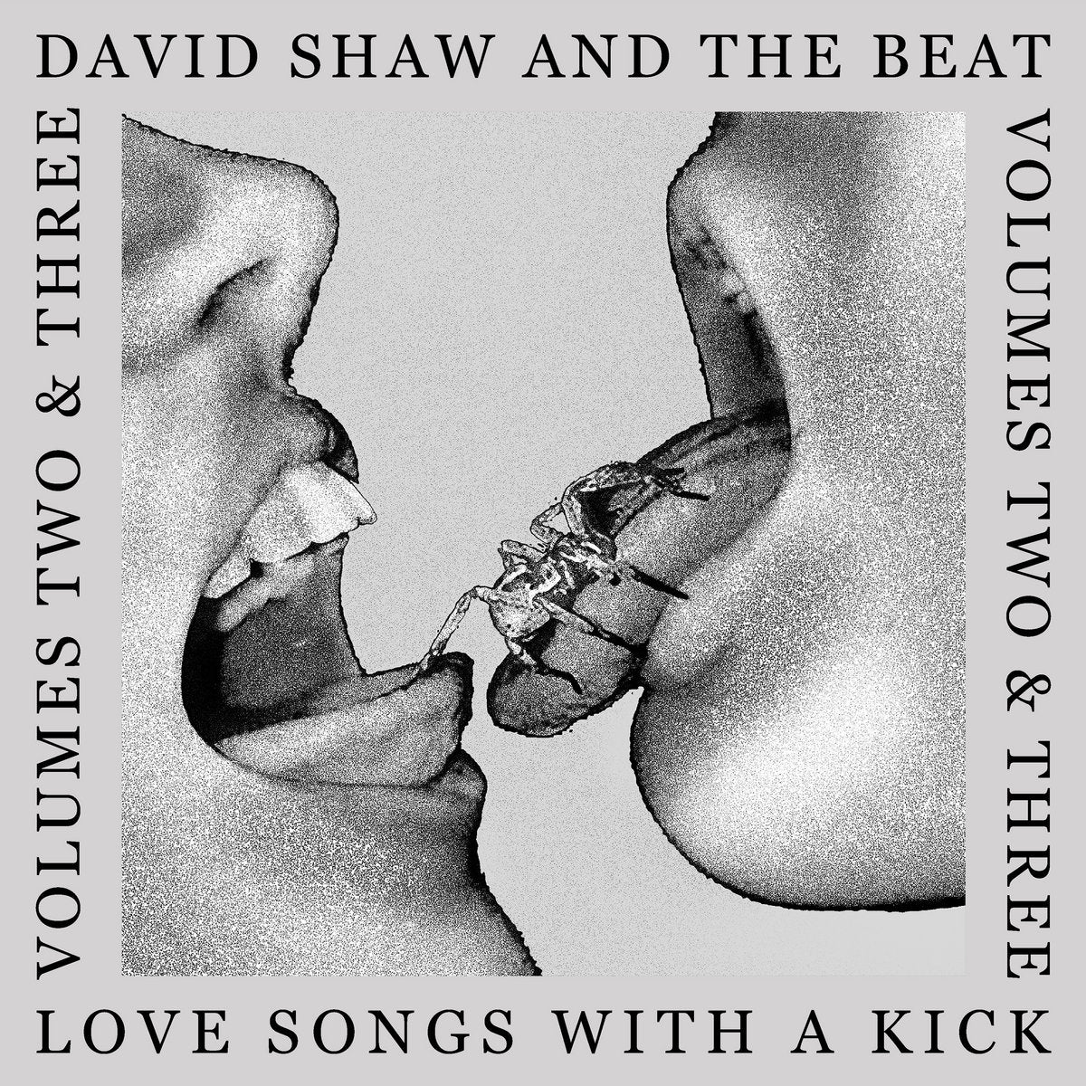 David Shaw And The Beat - Love Songs With A Kick Vol. Two