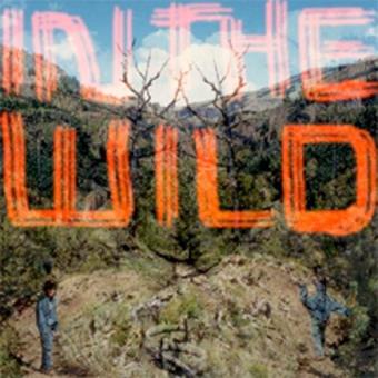 Falty DL - In The Wild
