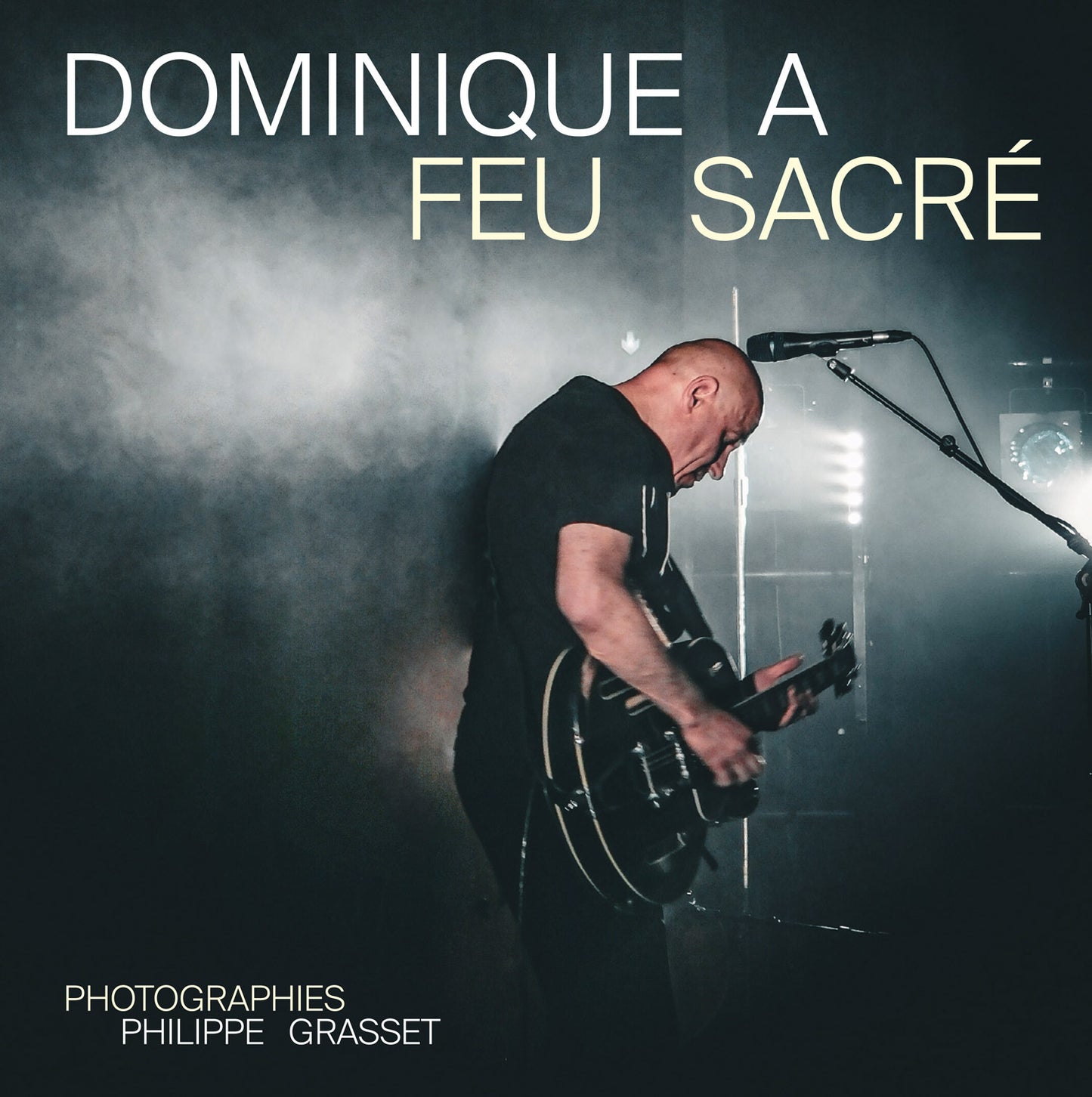 Feu Sacré - Dominique A par Philippe Grasset