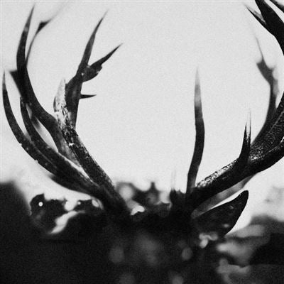 Ihsahn - Ihsahn | Vinyl Black Yolk