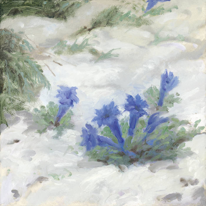 Jolie Gentiane - Insaisissables