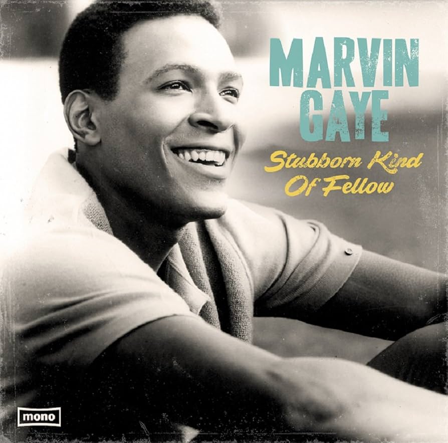 Marvin Gaye - Stubborn Kind Of Fellow