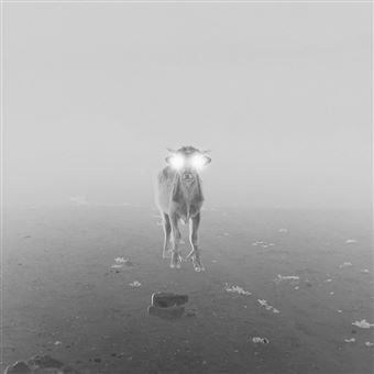 Noorg - III