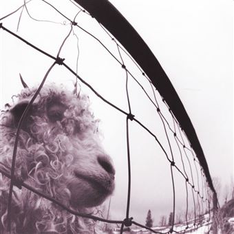 Pearl Jam - Vs. | 30th Anniversary Edition