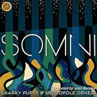 Snarky Puppy - Somni