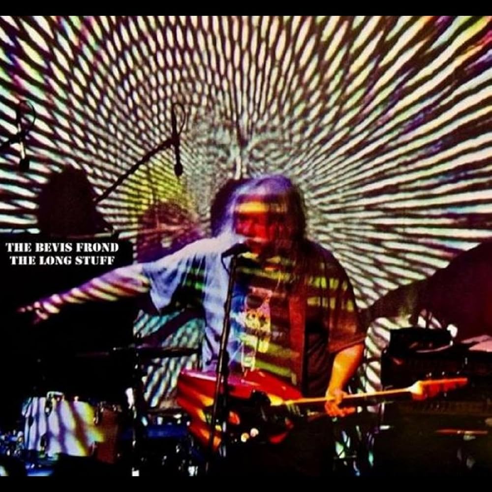 The Bevis Frond - The Long Stuff CD