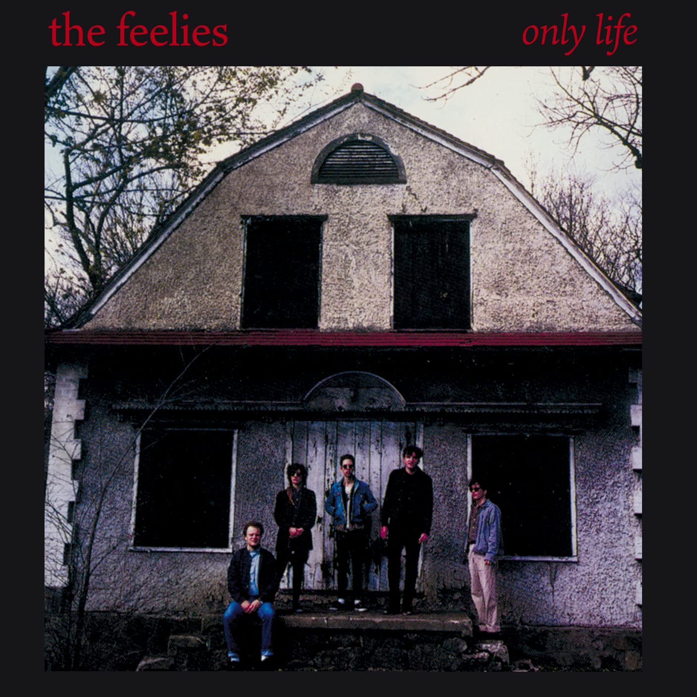 The Feelies - Only Life