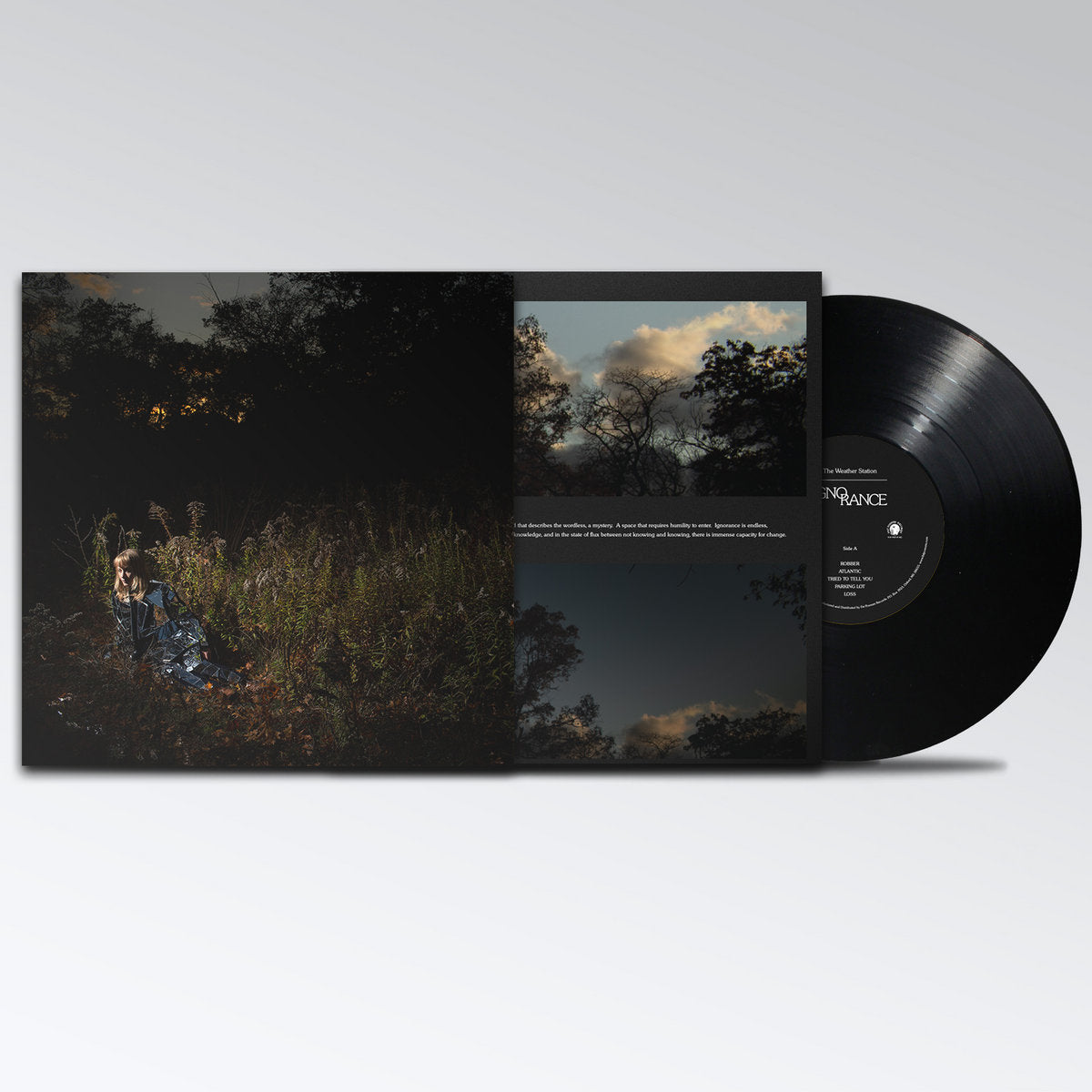 The Weather Station - Ignorance