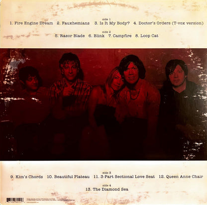 Sonic Youth - The Destroyed Room