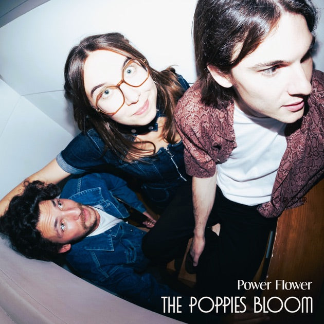 The Poppies Bloom - Power Flower