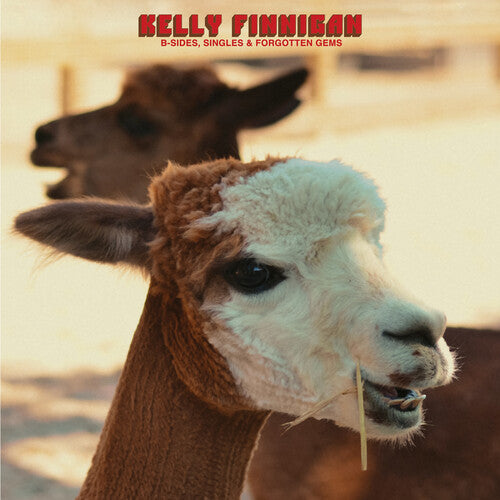 Kelly Finnigan - B-Sides Singles & Forgotten Gems | Red Vinyl