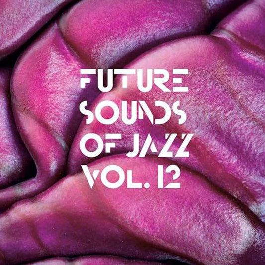 Various Artists - Future Sounds Of Jazz Vol 12