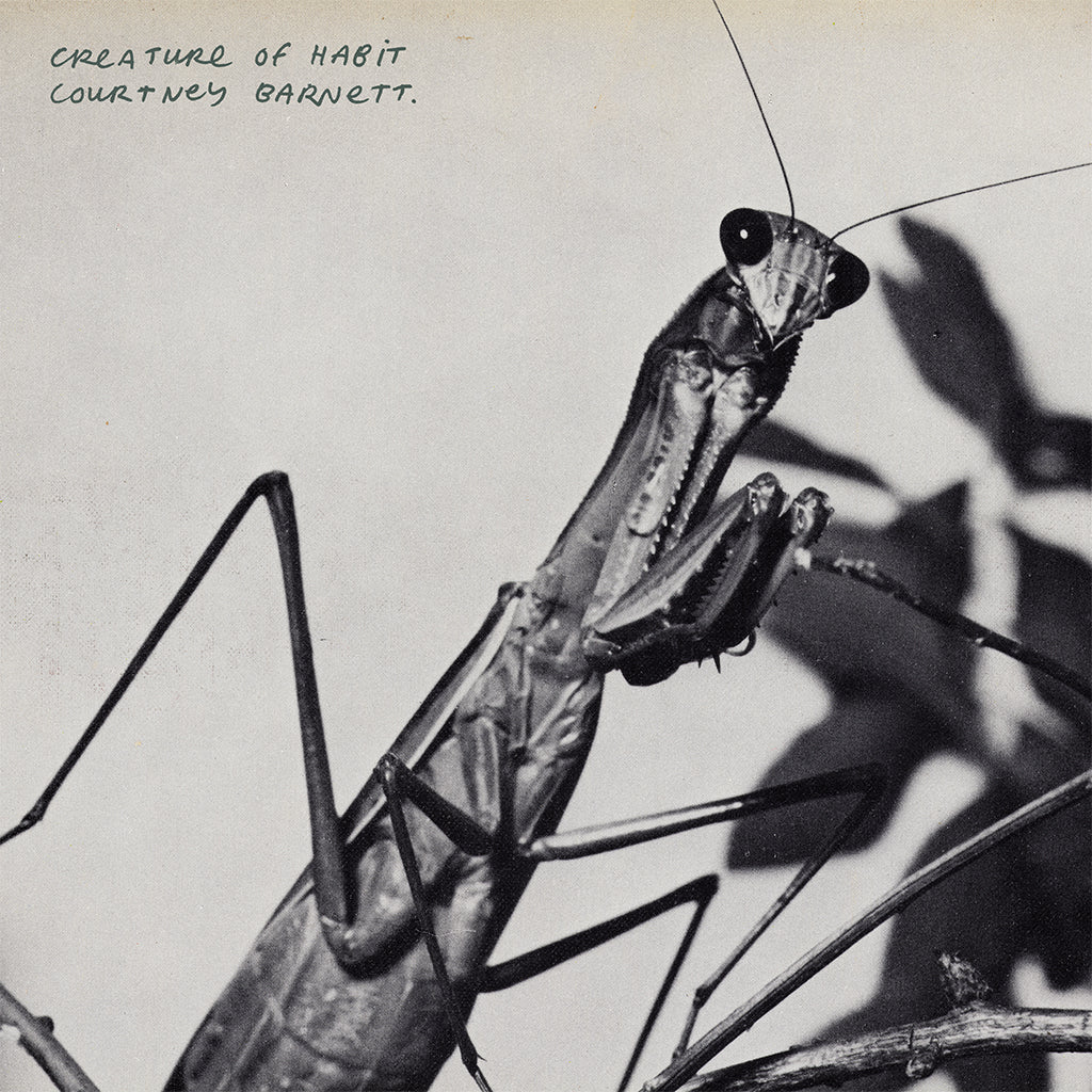 Courtney Barnett - Creature Of Habit