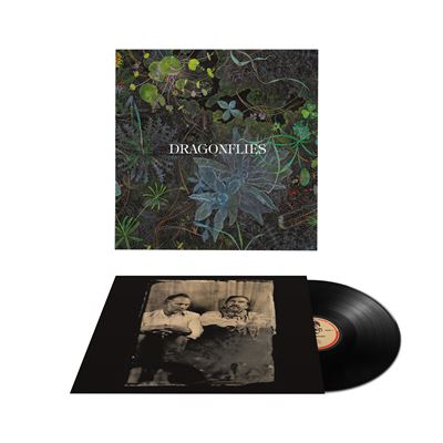 Dragonflies - Dragonflies