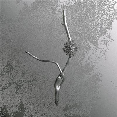 Gaia Banfi - La Maccaia