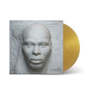 Asake - M$ney [Gold Nugget LP]