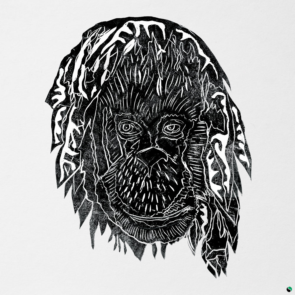 Alpha Steppa - Raise The Ark [Transparent green LP]