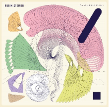 Rubin Steiner - What Would Brian Eno Have Done