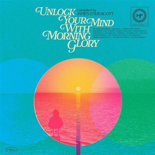 Unlock Your Mind With Morning Glory | Limited Edition