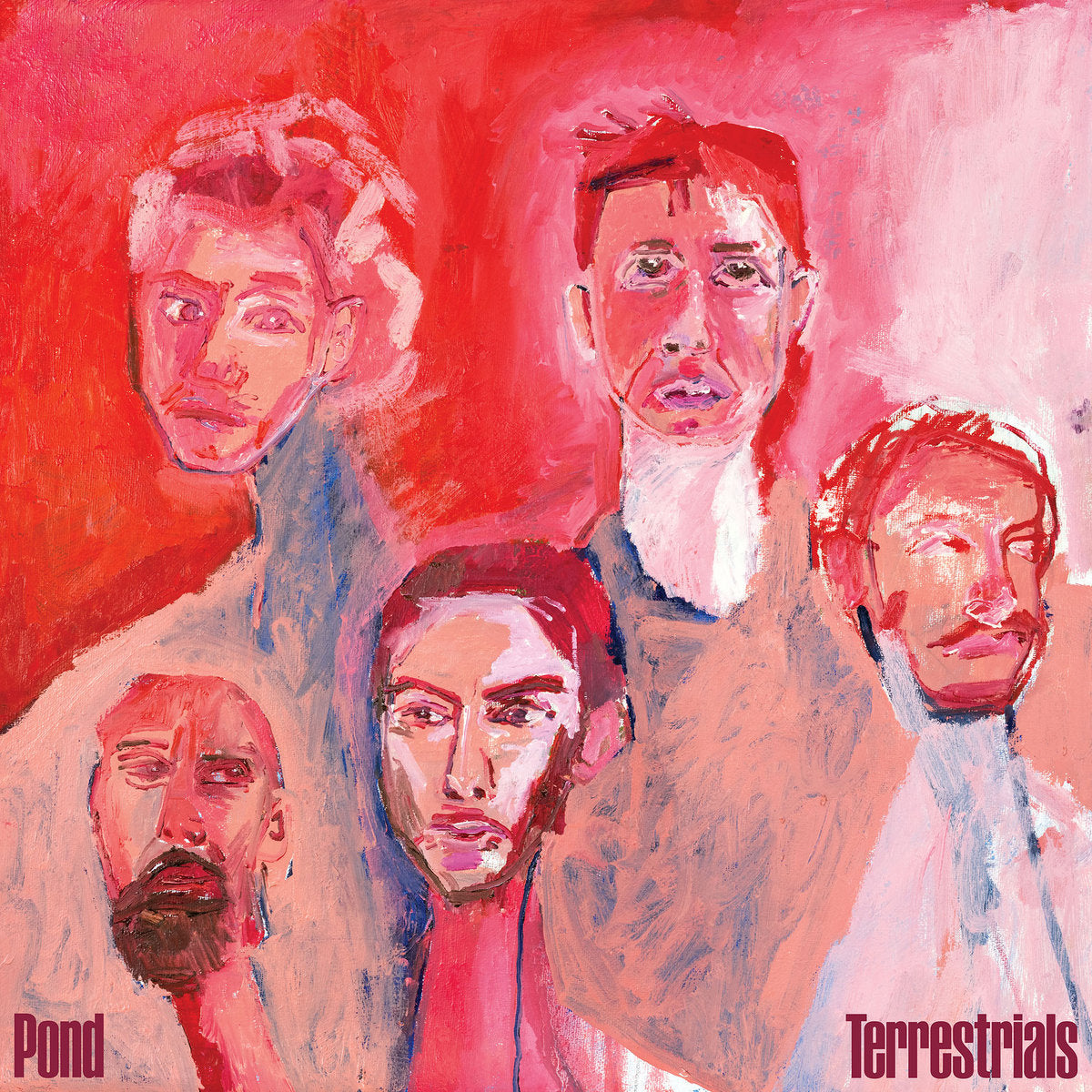 Pond - Terrestrials / Seabird blue edition