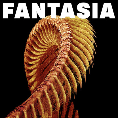 Slift - Fantasia