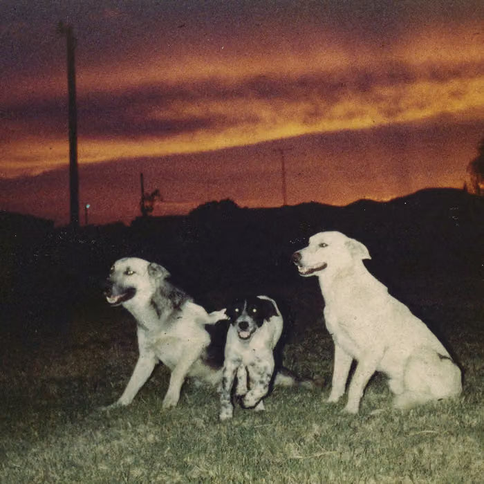 Sennen - New Quiet [Golden Retriever LP]