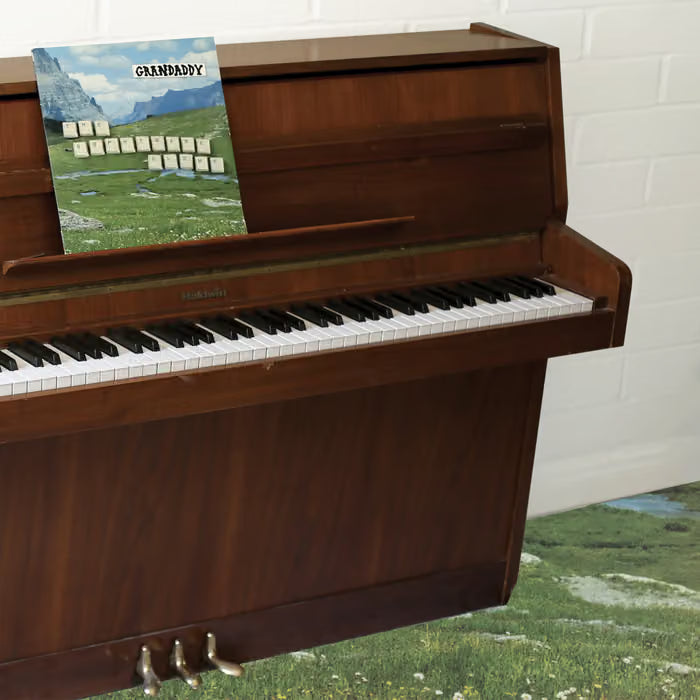 Grandaddy - The Sophtware Slump... On A Wooden Piano [Eco Mix Tangelo LP]