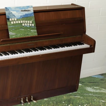 Grandaddy - The Sophtware Slump... On A Wooden Piano [Eco Mix Tangelo LP]