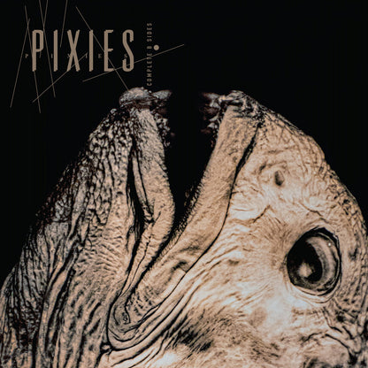 Pixies - Complete B-Sides: 1988-1997 / Translucent 2LP