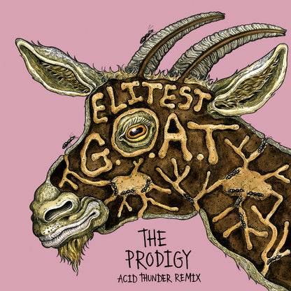 Sleaford Mods - Elitest G.O.A.T [The Prodigy Acid Thunder Mix] / Gold 7"