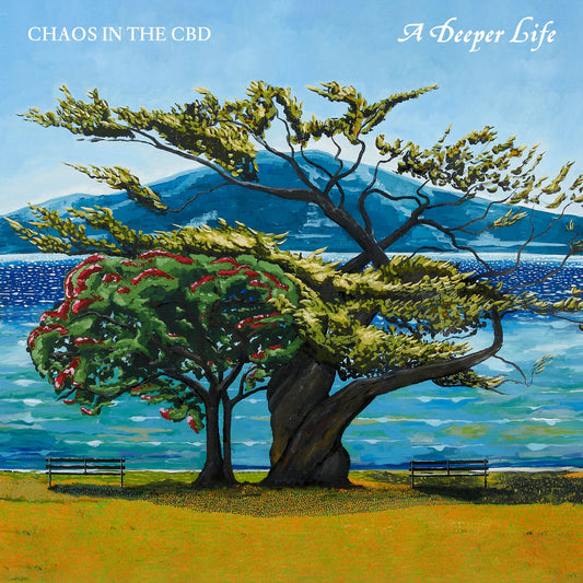 Chaos In The CBD - A Deeper Life