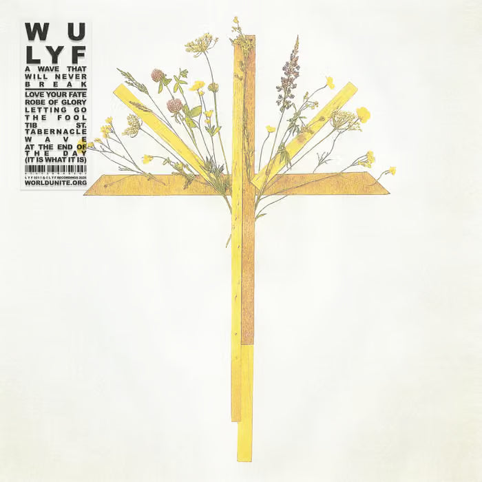 Wu Lyf - A Wave That Will Never Die