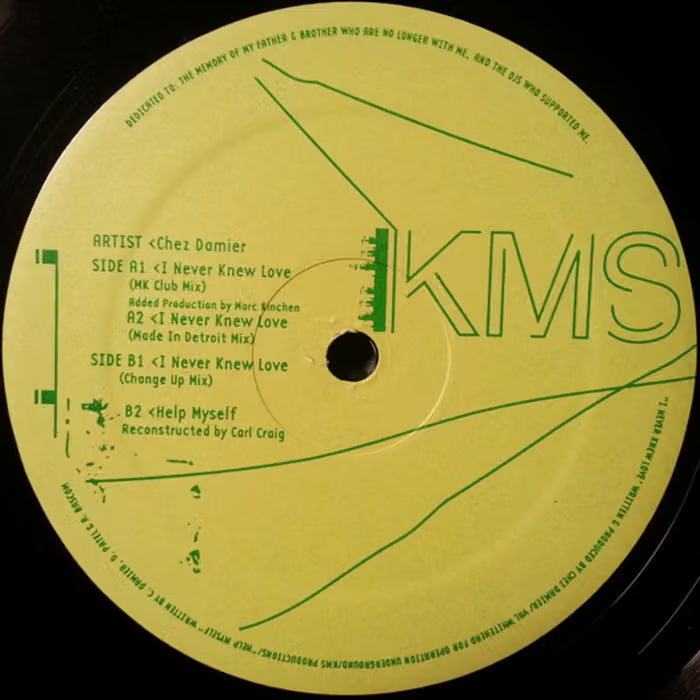 Chez Damier - I Never Knew Love