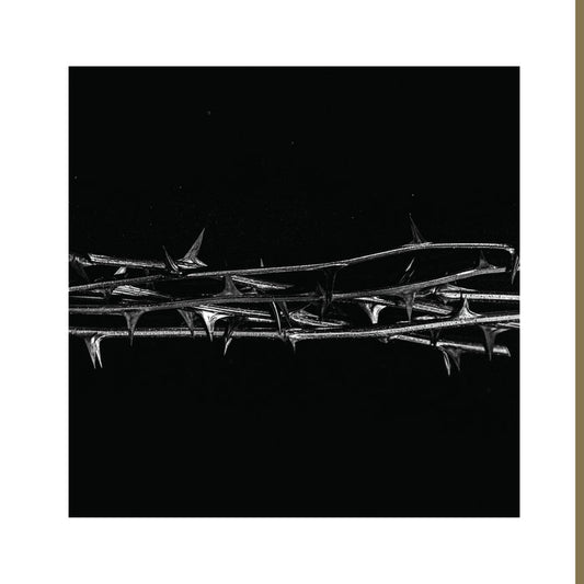 Amenra - De Doorn | Gold edition