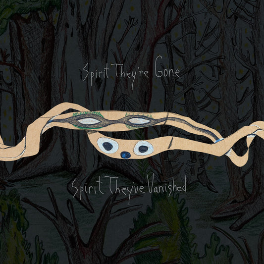 Animal Collective - Spirit They'Re Gone Remastered