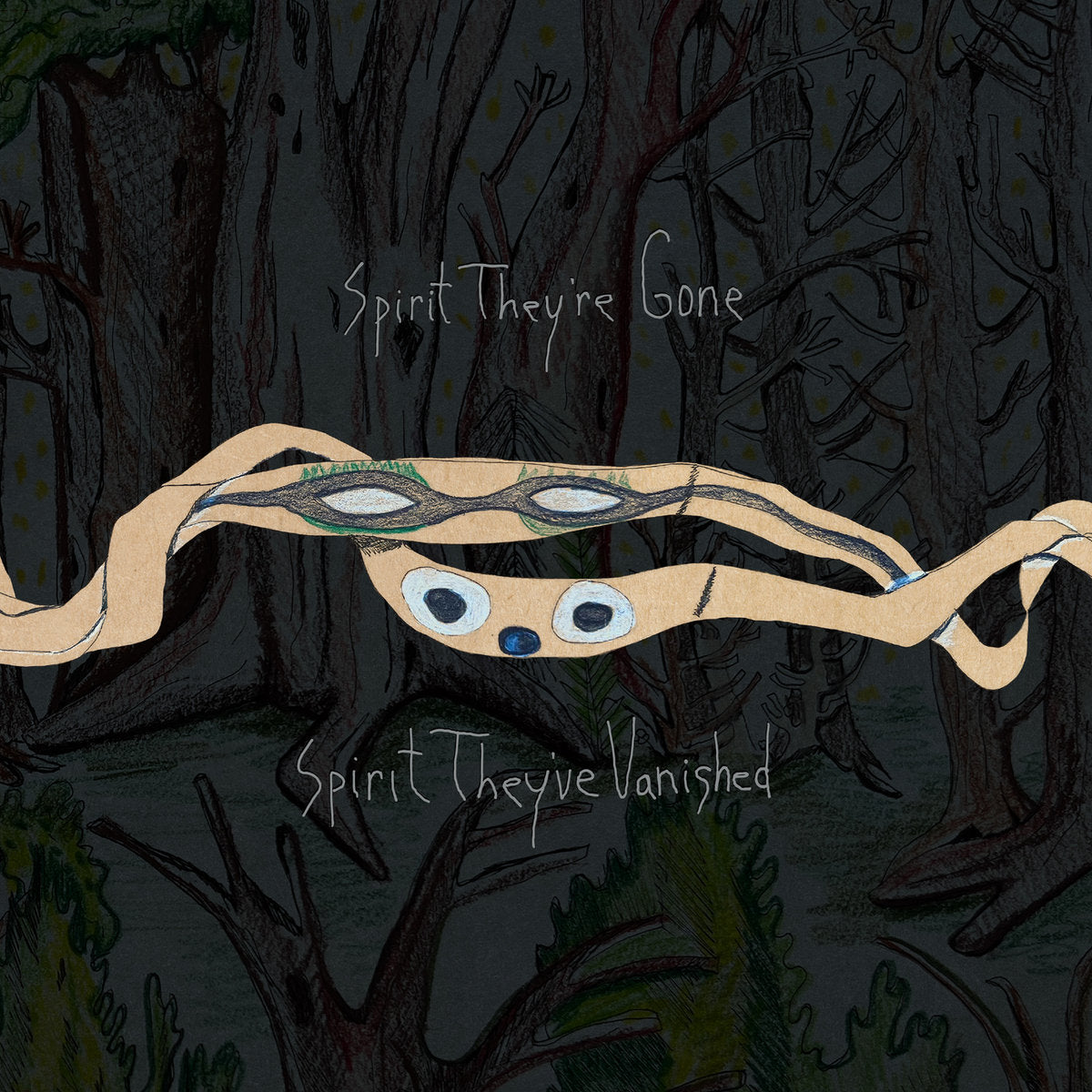 Animal Collective - Spirit They'Re Gone (Limited Edition)
