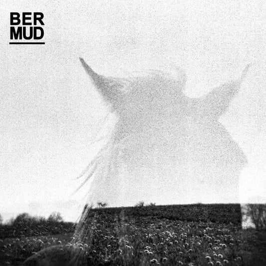Bermud - Chetter Hummin | RSD2025