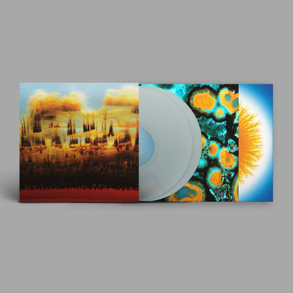 Bonobo - Distance In Static