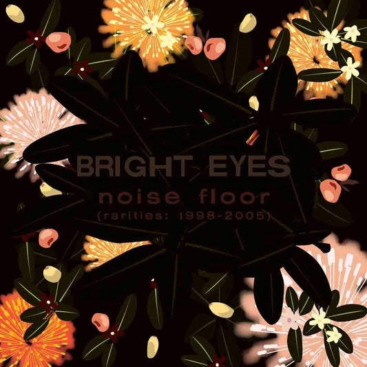 Bright Eyes - Noise Floor (Rarities: 1998-2005)