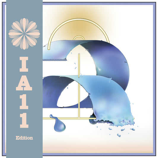 Carlos Nino - Miguel Atwood Ferguson - Chicago Waves : Ia11 (Limited Edition)