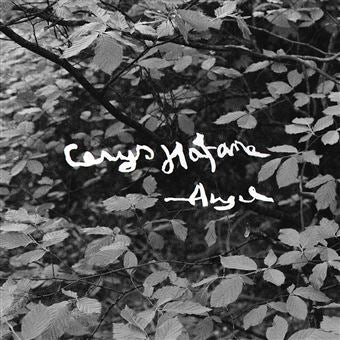 Cerys Hafana - Angel