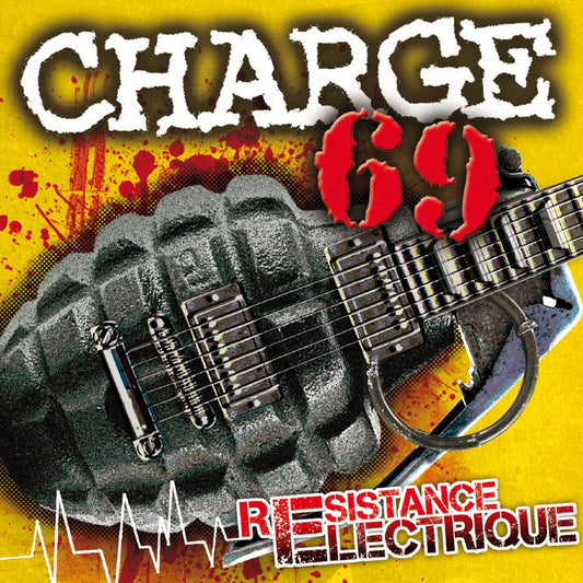 Charge 69 - Résistance Electrique | RSD2025