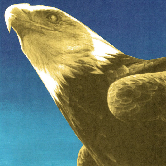 Protomartyr - Hotel Usona | Limited Edition Gold Vinyl